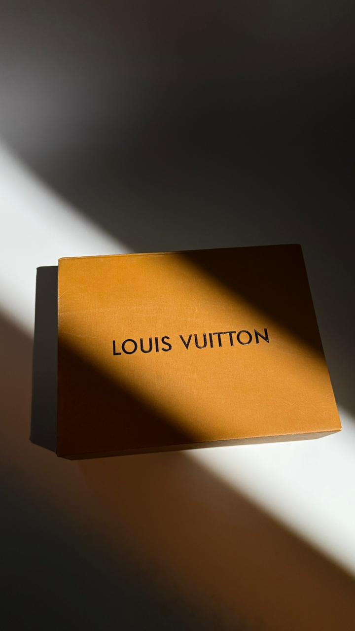 LOUIS VUITON - BAG