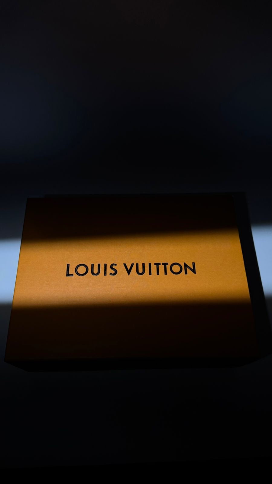 Louis vuitton - shoes
