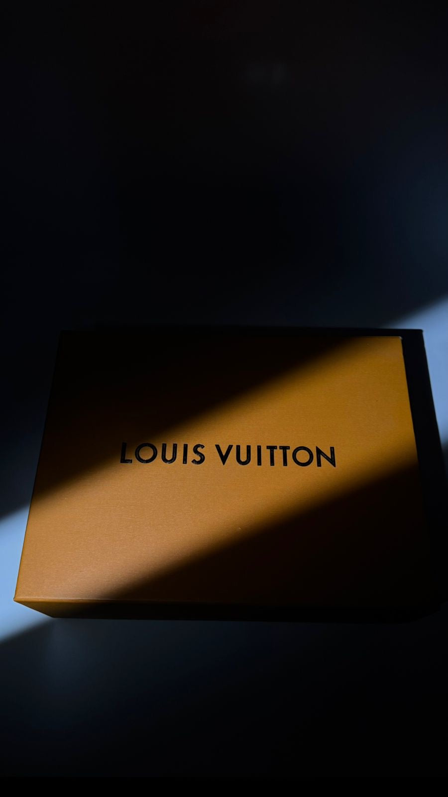 Louis vuitton - shoes