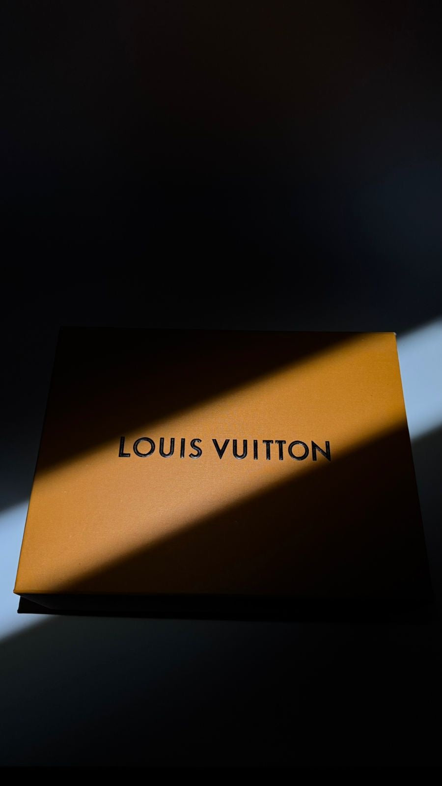 Louis vuitton - shoes