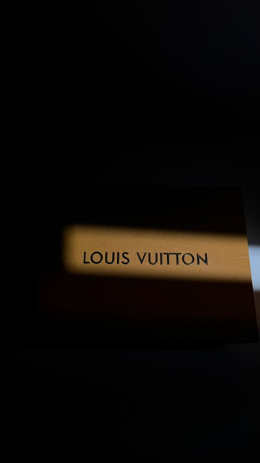 Louis vuitton - Bag