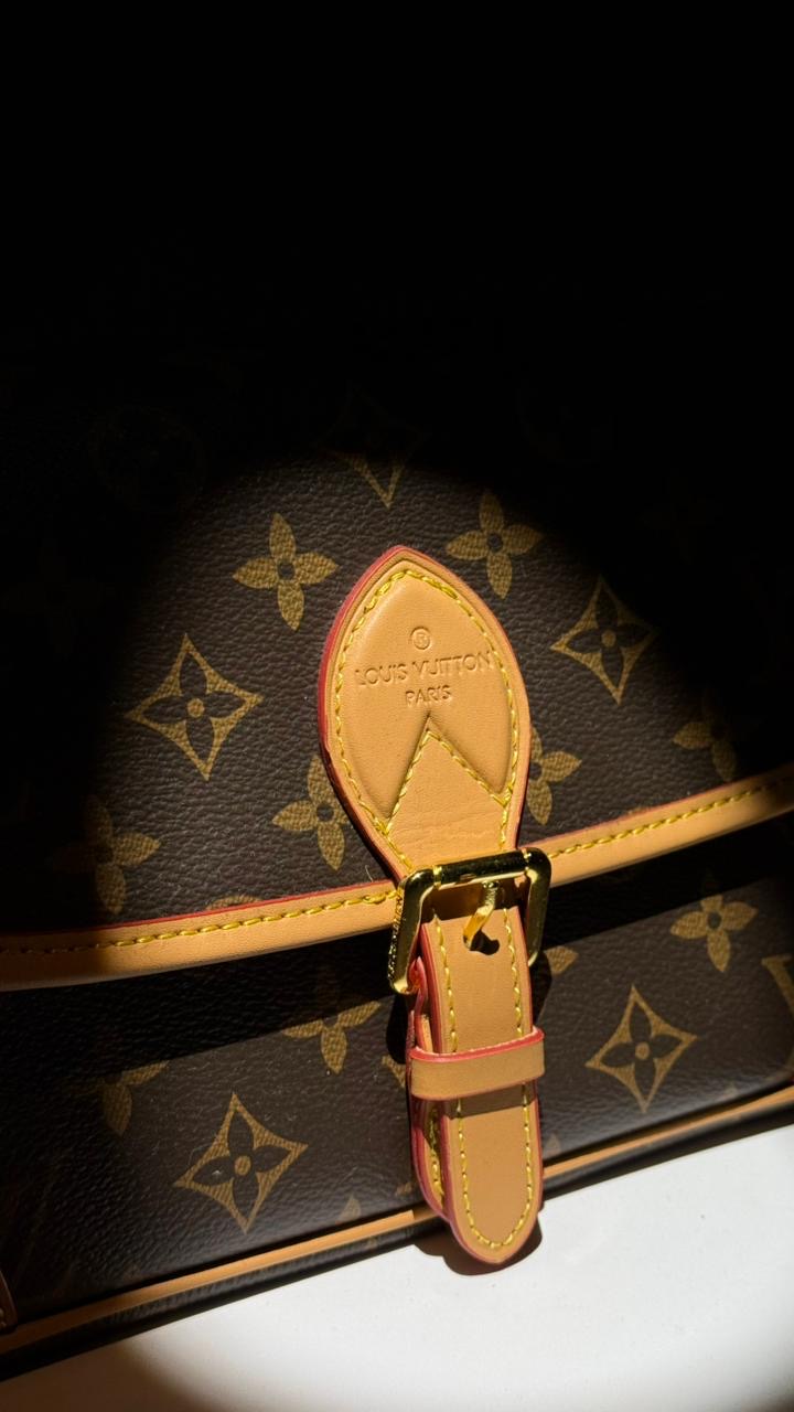 Louis vuitton - Bag