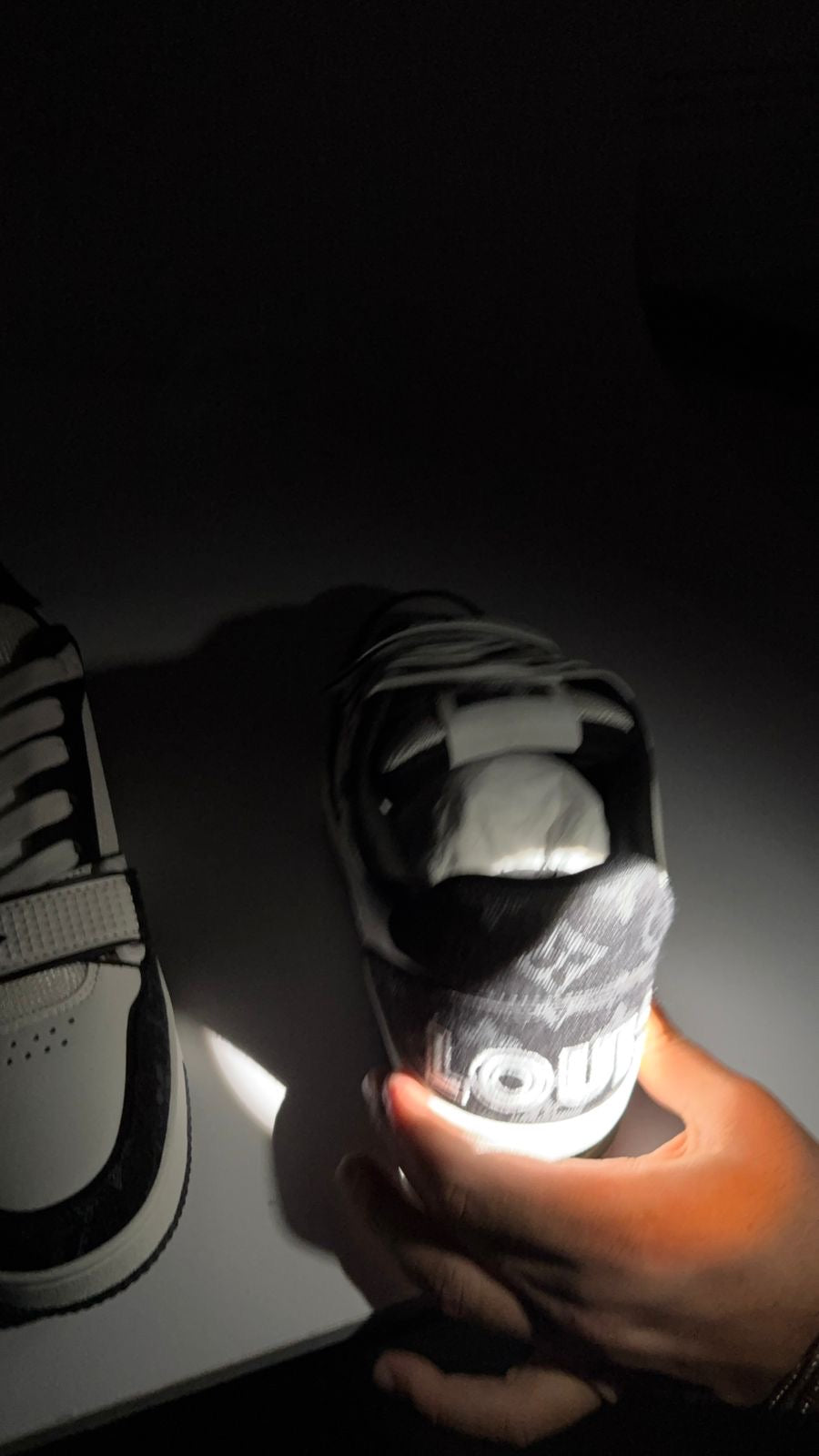 Louis vuitton - shoes